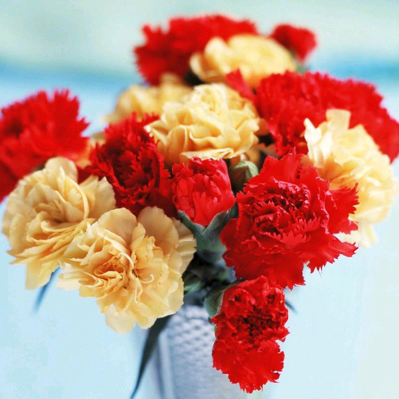爱的约定🌺❤