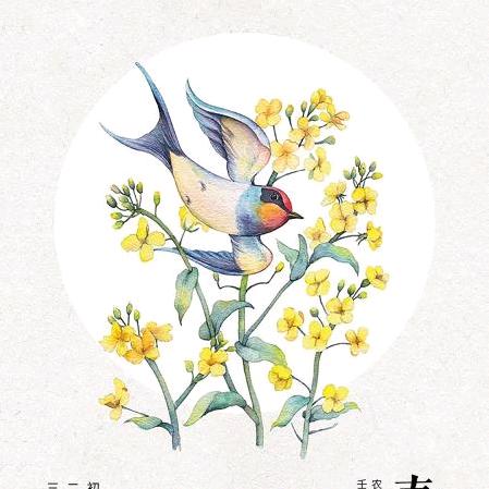 拾光时光