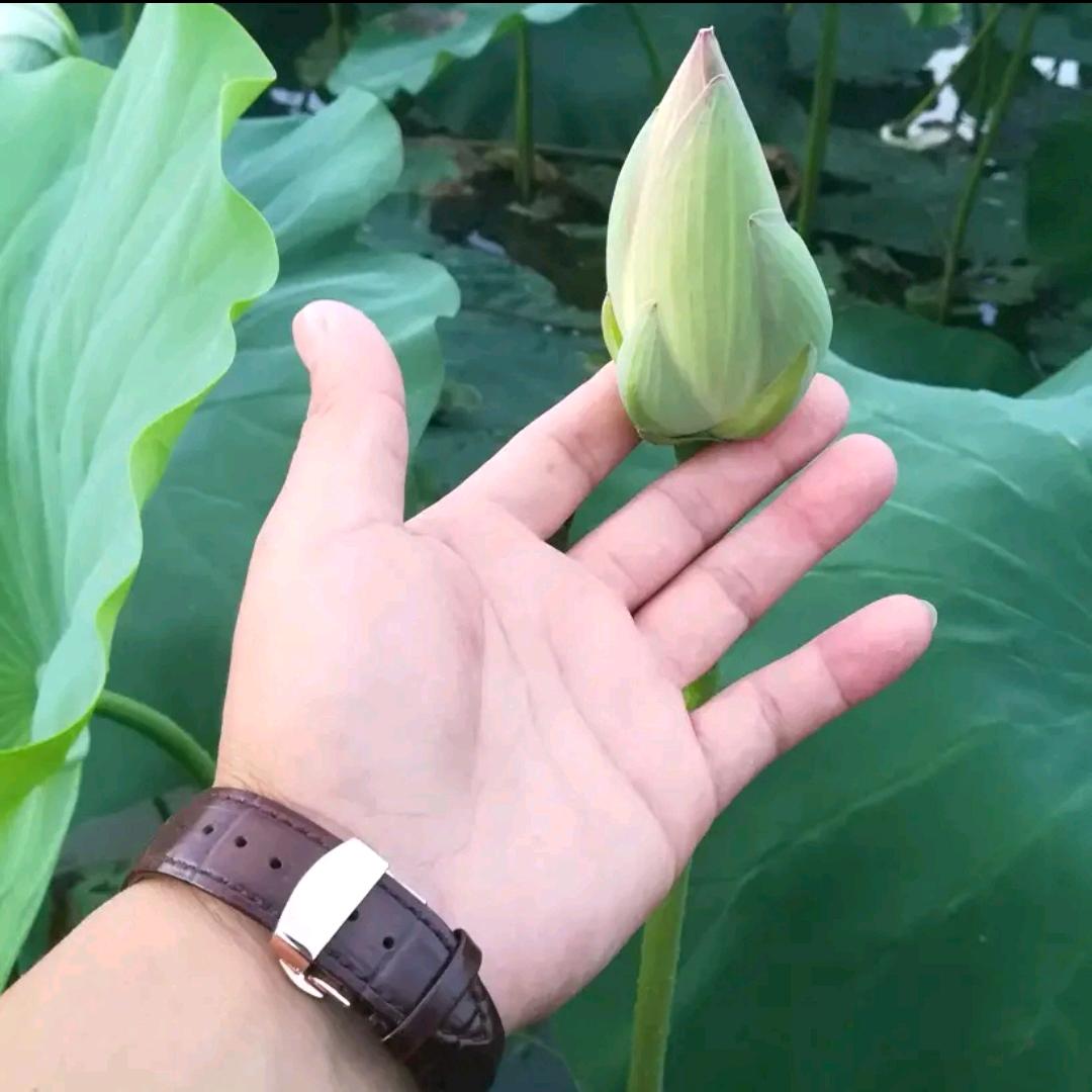 信念 . yan琮哲