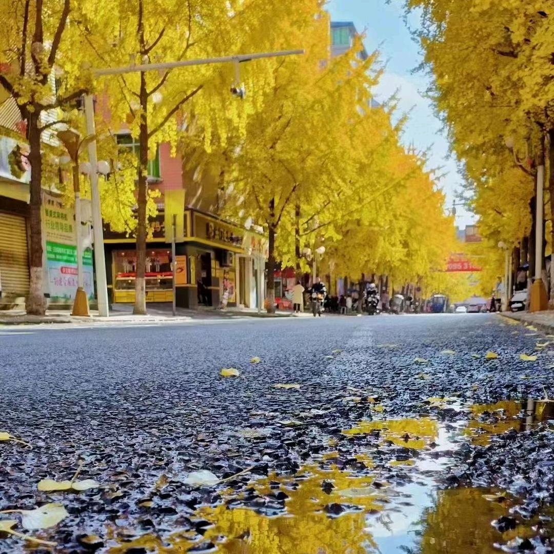 芦苇花^O^╭(╯ε╰)╮