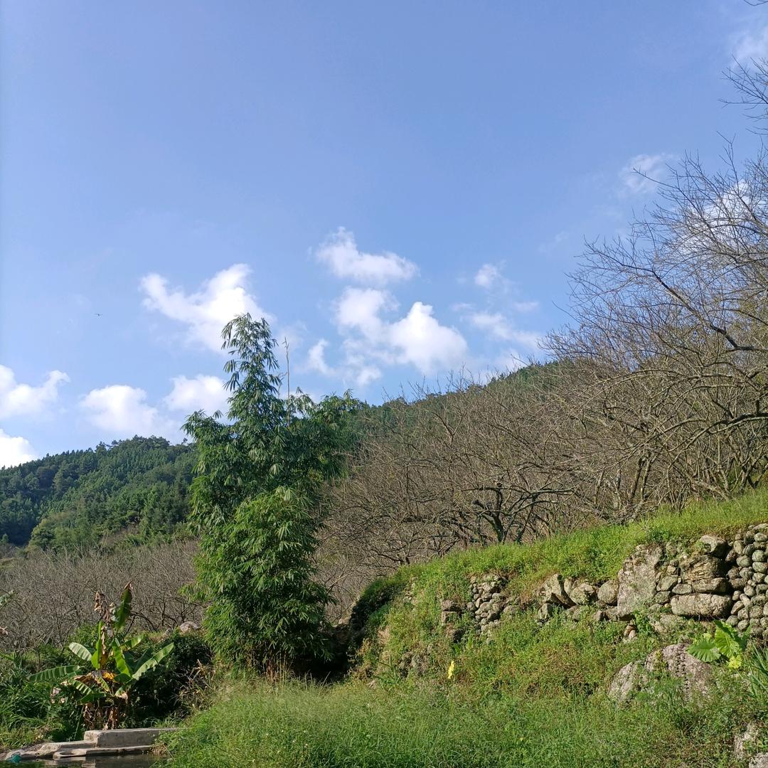 平