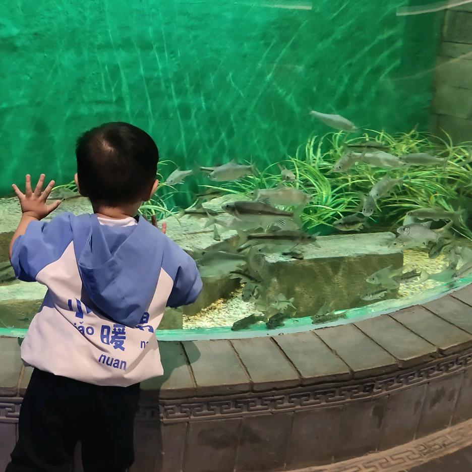 双子七月