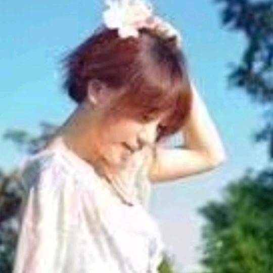 郁金香花开