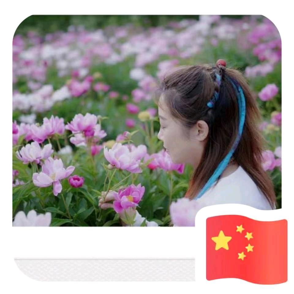 水晶蕾