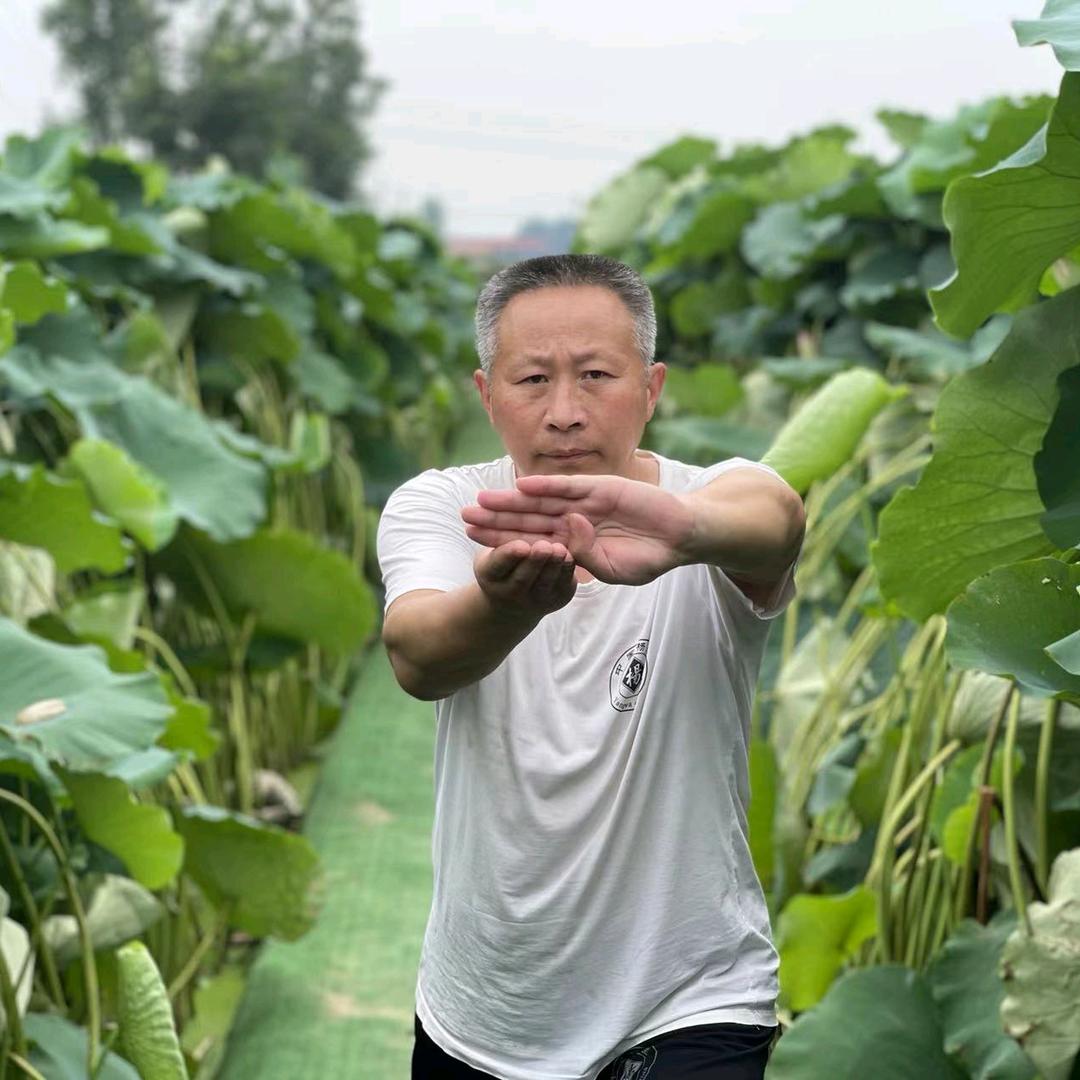 杨氏洪拳