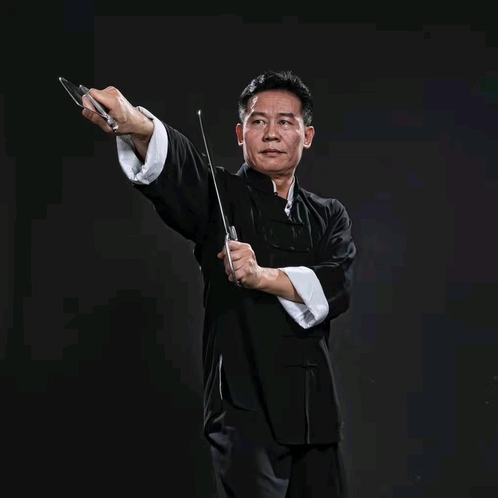 蔡银川咏春拳学(天晟文化)