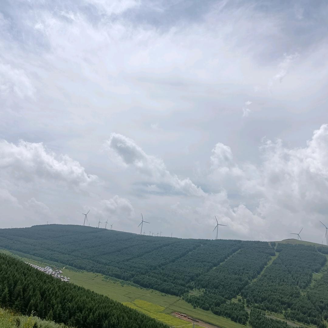 还活着