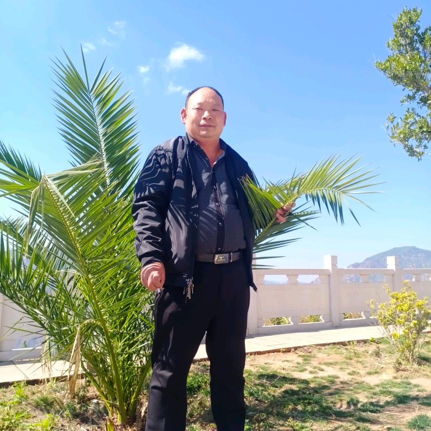 志德人力资源平顶山分公司