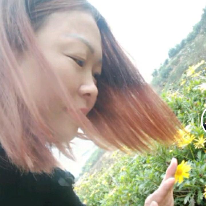 酒疯子（单身龙）单身也要高贵
