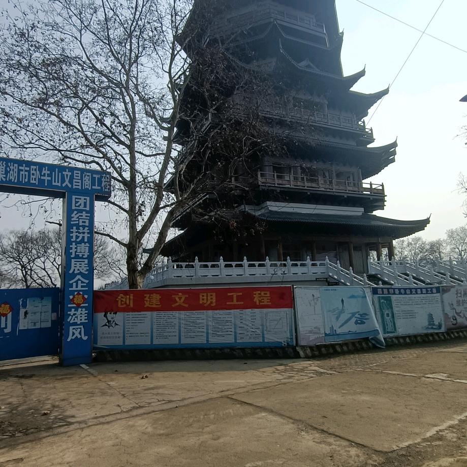 赖皮哥👉
