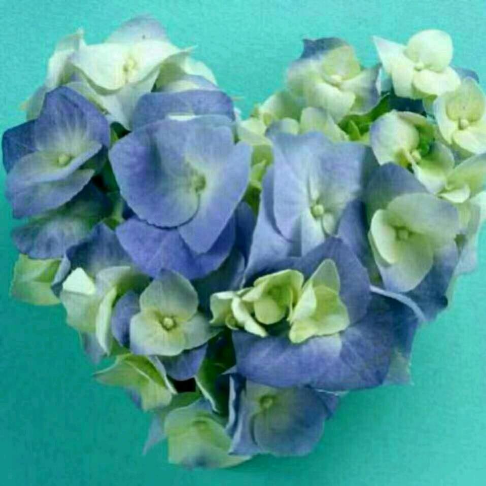 乌兰浩特 皇玛·康之家  小玲