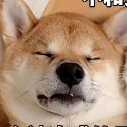 (≧▽≦)