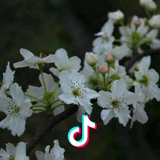 快乐学习 一起成长