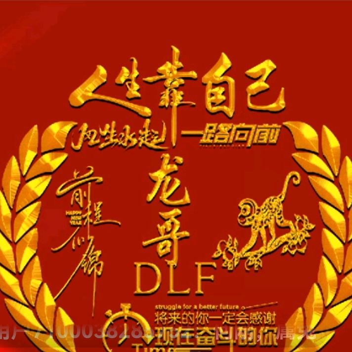 龙哥DLF