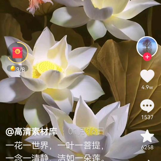 用户1128830995827