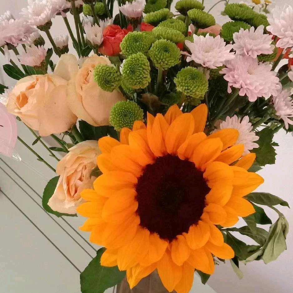 🌴乐享利方🌴