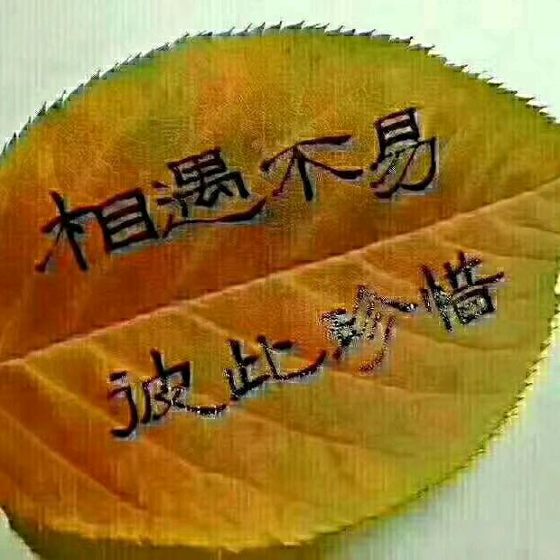 (ღ♡‿♡ღ平头哥ღ♡‿♡ღ)