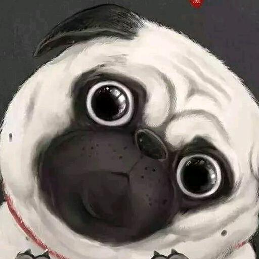 巴扎（🇨🇳）