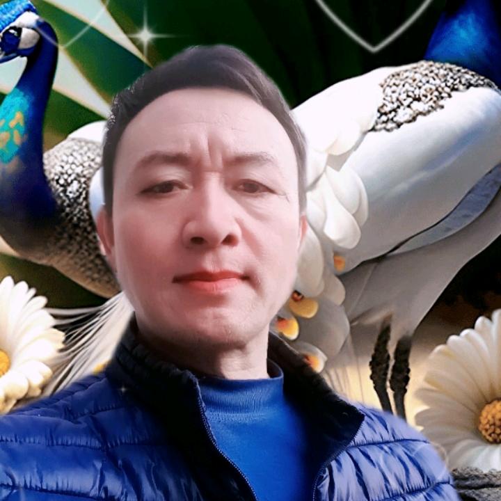 平安。杨哥