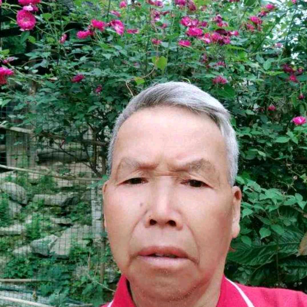 向卫华
