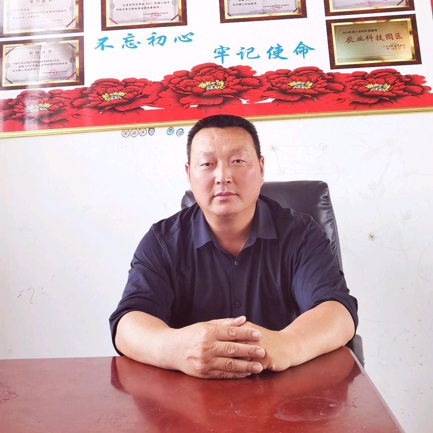 果多多果树苗