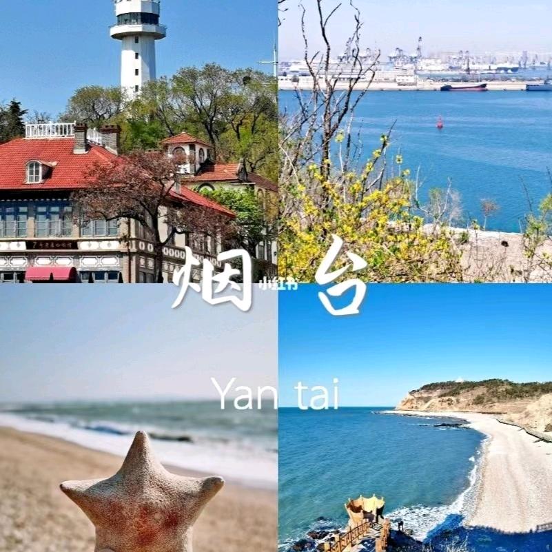 山东成人学历继续教育学习中心