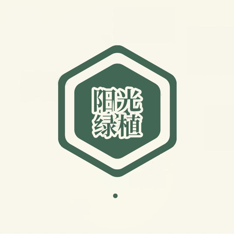 阳光绿植小店