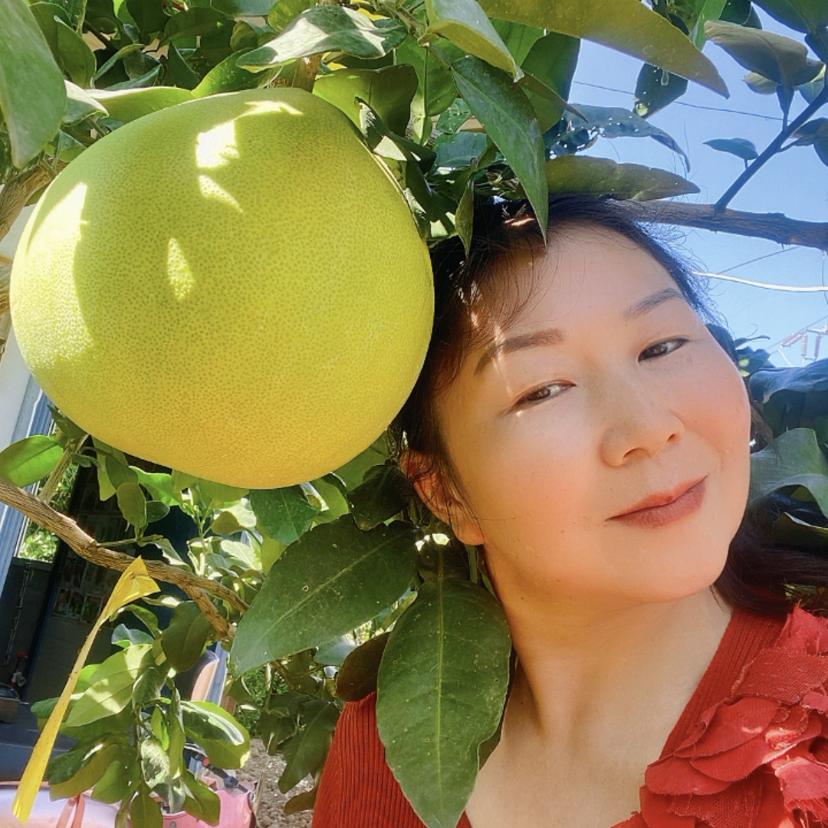 果苗杨姐心愿树