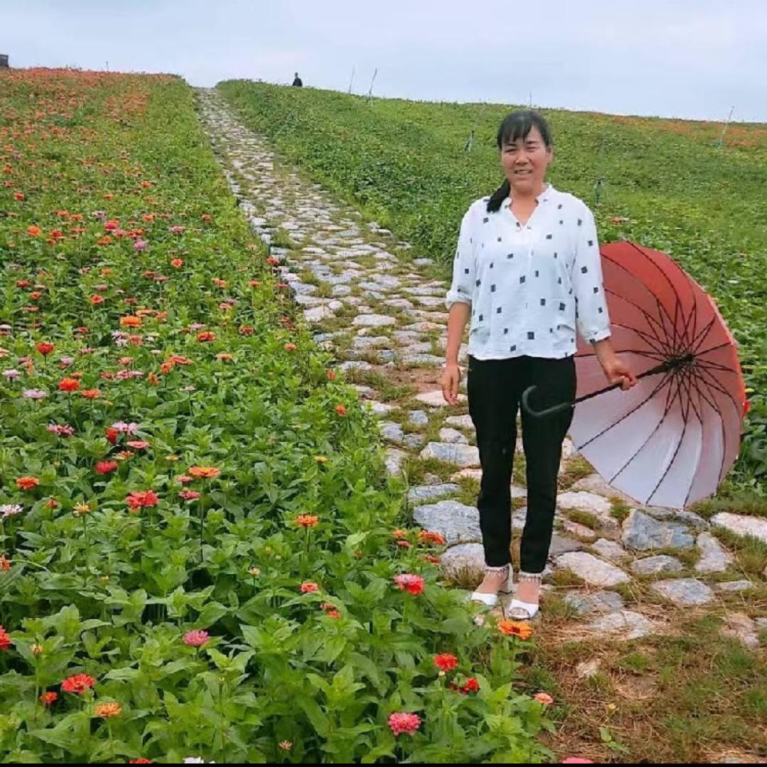 你若安好便是晴天。