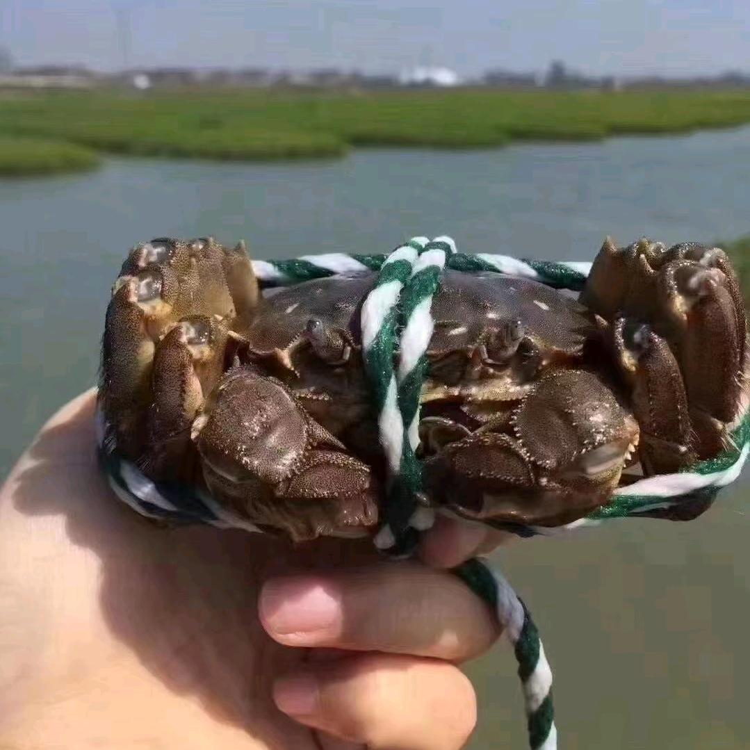 与岛同行