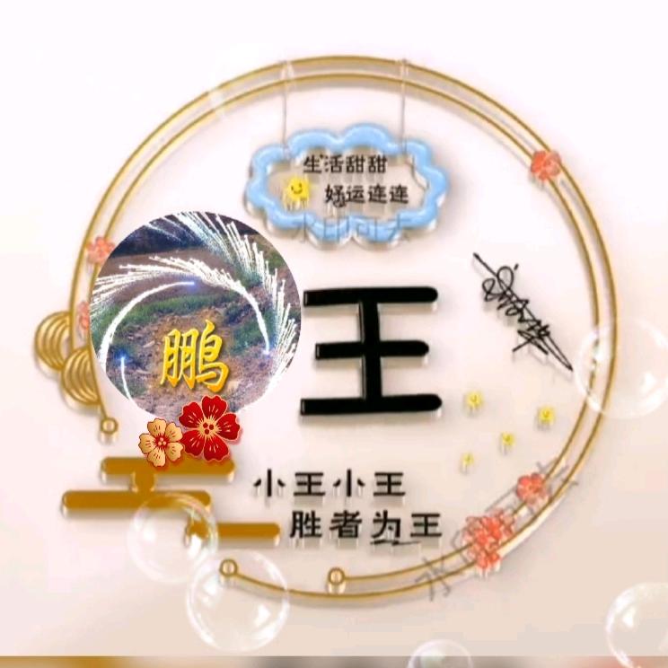 🐓¹⁹₉₃鹏程万里