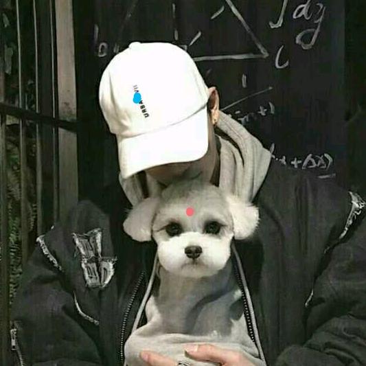 独享壹个世界@
