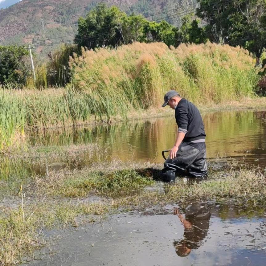 户外小窦（长期收售生态鱼）