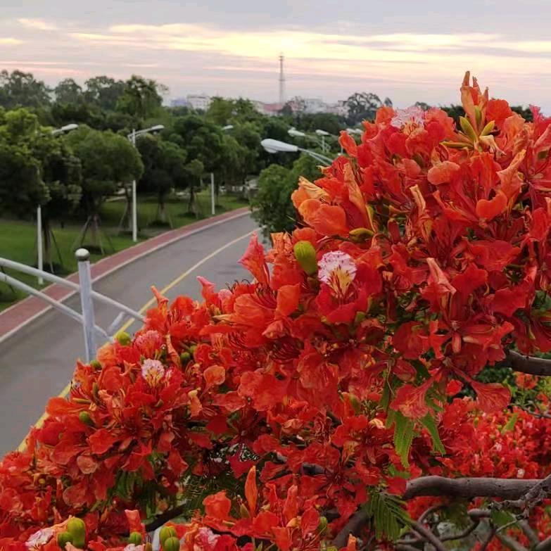 爱玩游戏爱运动的刘芝兰