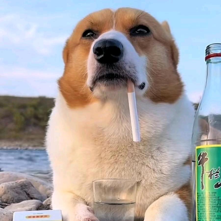 老男孩俱乐部