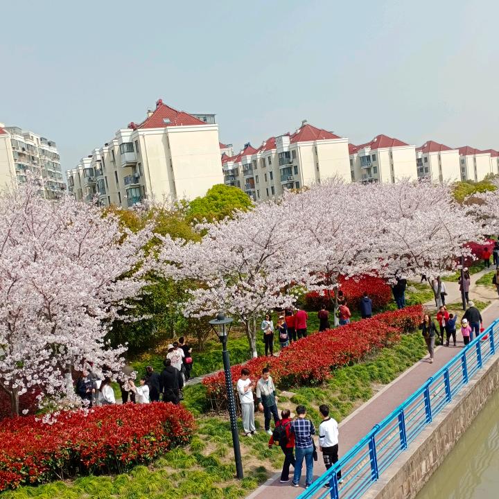 阿土