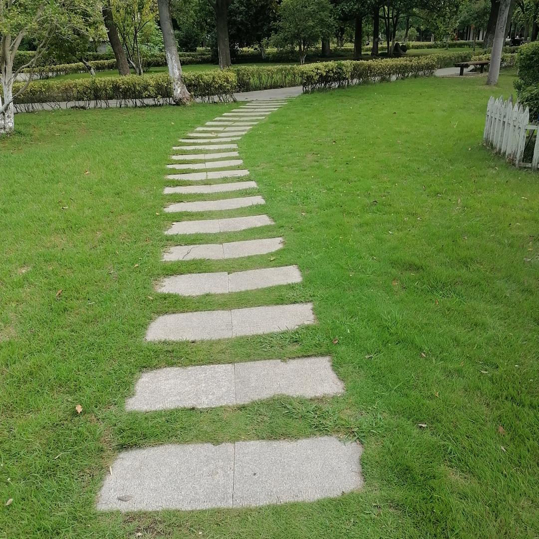 我和春天有个约会