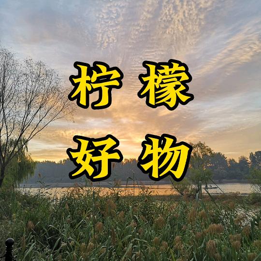 柠檬好物