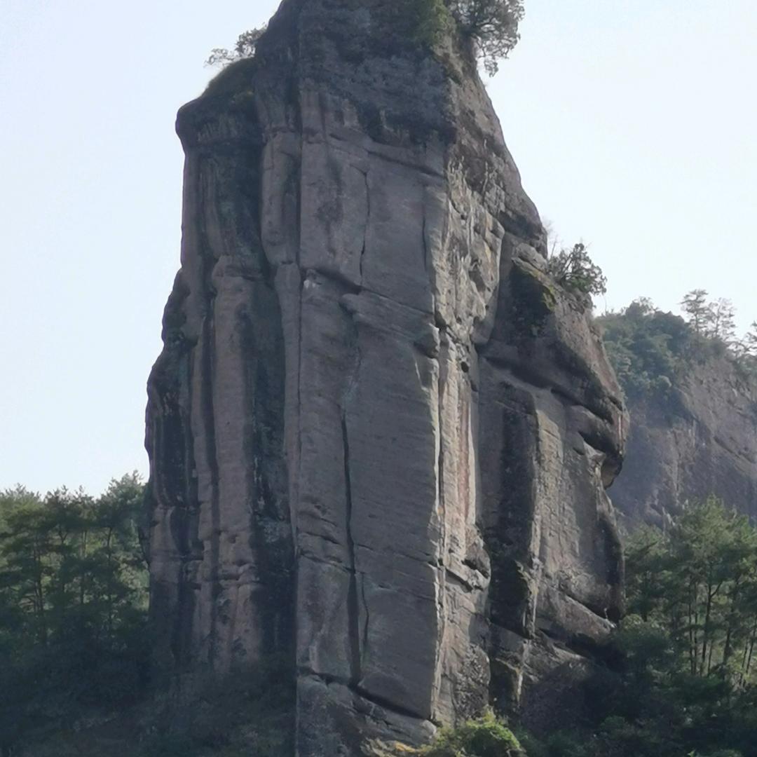 东东好物