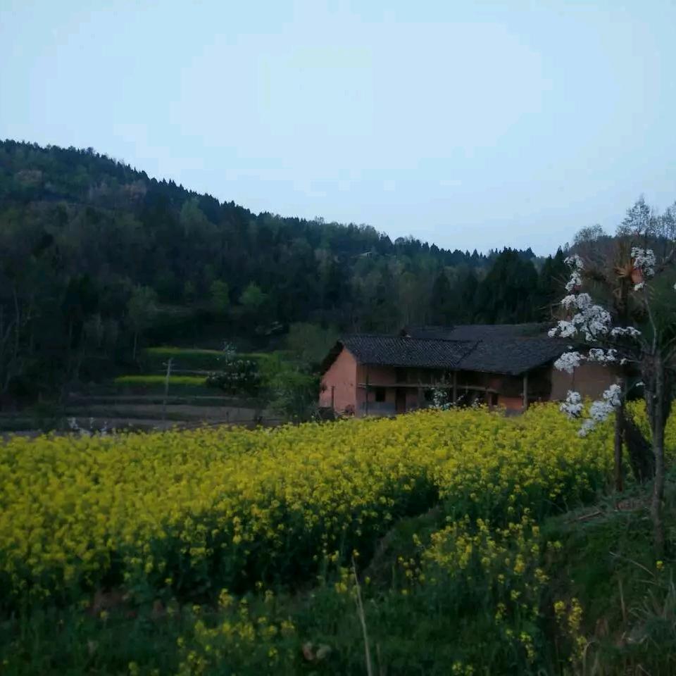 广元热凉面