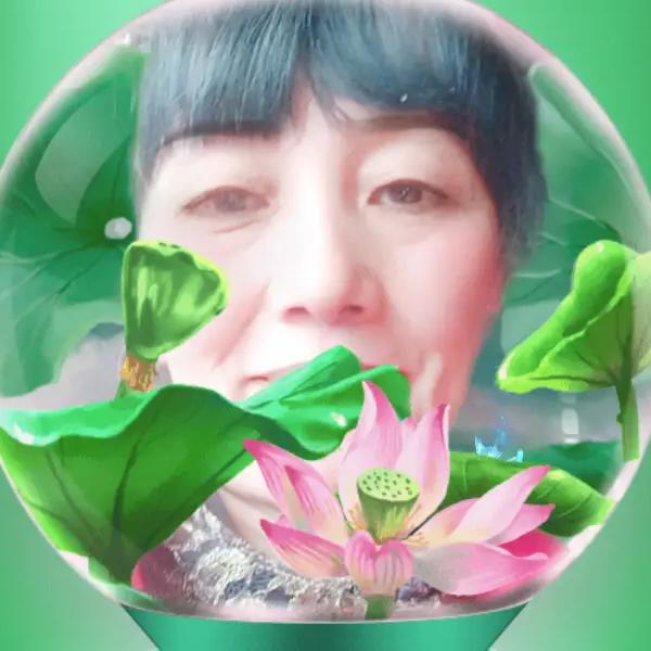 金枝玉叶
