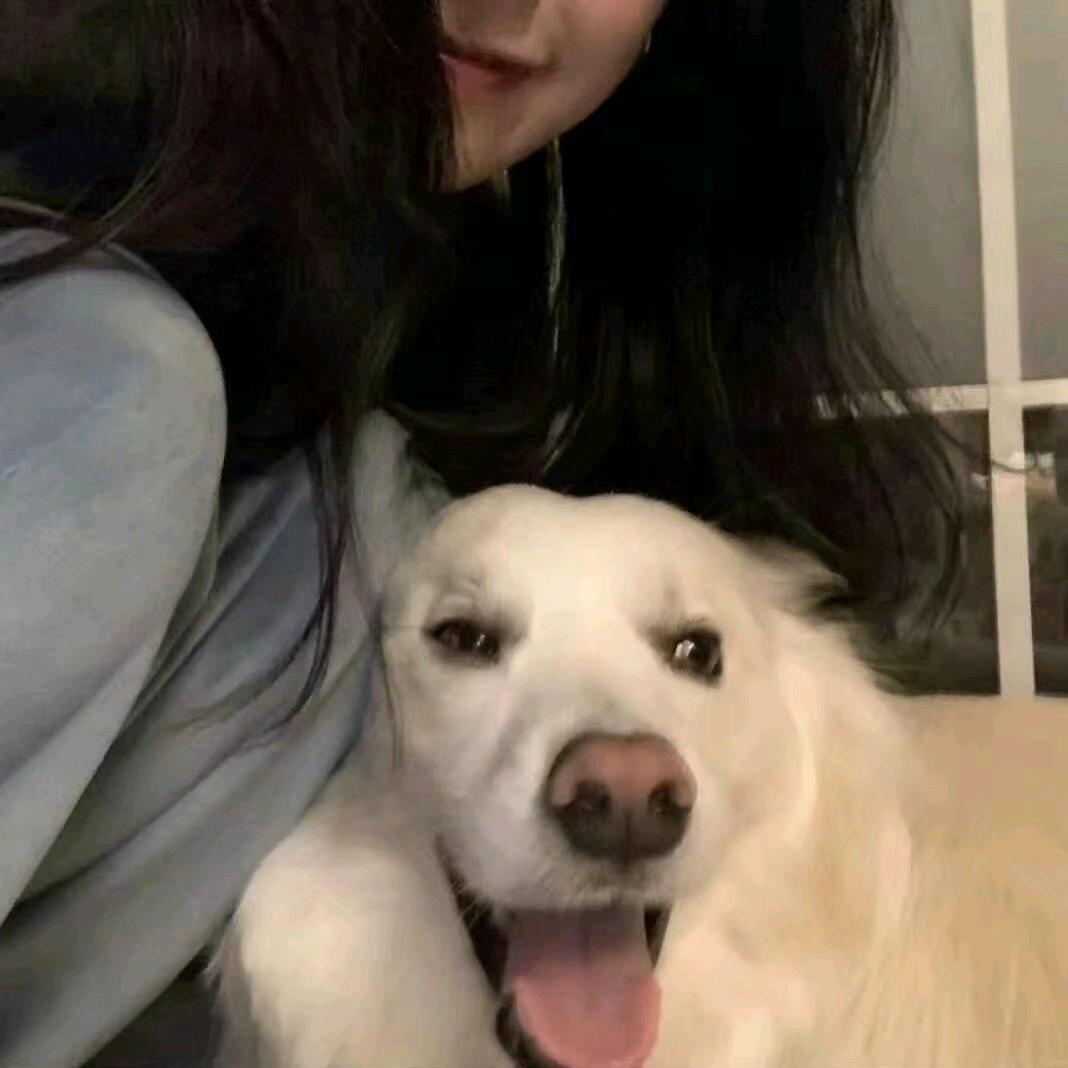 纯纯芋冻