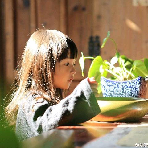 落诗不吃香菜🍃