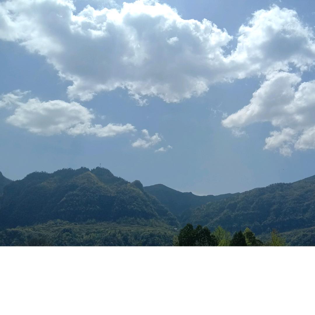 福哥☀