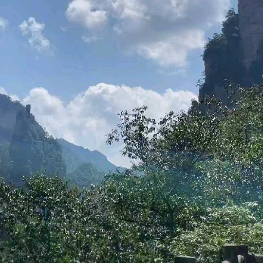 ✨💕ꦿ᭄曾经以✨为༉ᩚ᭄