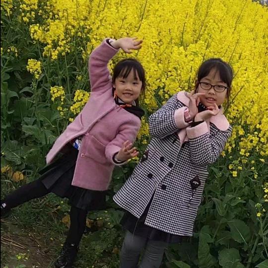 燕子