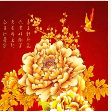 国色牡丹7753191