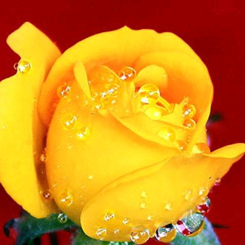 🥀এ᭄封心ꦿ锁💔爱 ོ࿐ᩚ