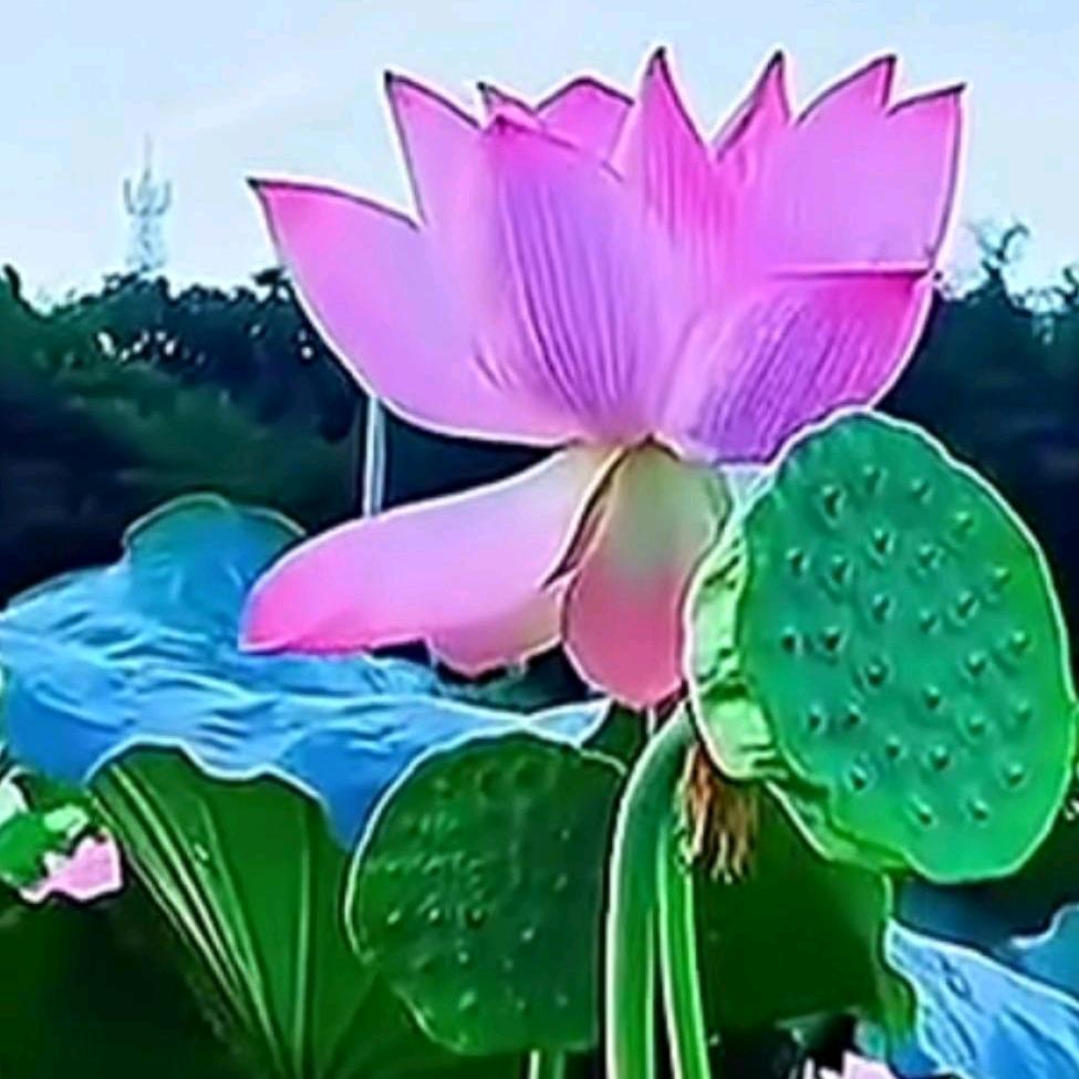 @佛缘🙏🙏🙏