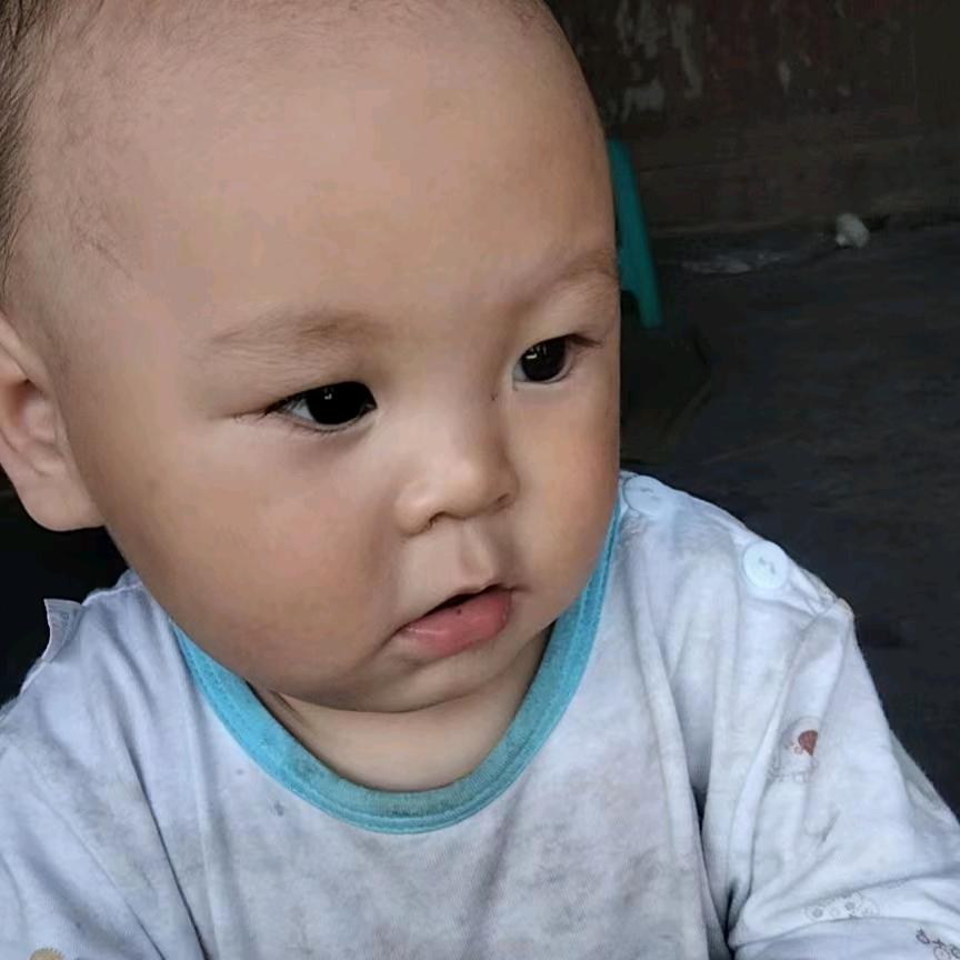 私人个体户
